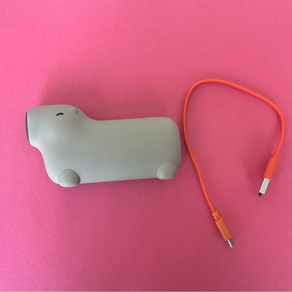 capybara portable charger